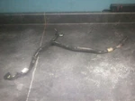 07-08 Arctic Cat Steering Wiring Harness # 1686-355 F1000 Sno Pro Used. Price: $29.95.