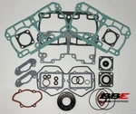 '07-'12 Ski-doo 800R Ptek Complete Gasket Set With Oil Seals, Mxz, Summit, Gsx New. Price: $115.03.