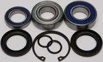 Balls 14-1068 Chain Case Bearing And Seal Kits New. Price: $52.20.