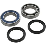 Balls Drive Shaft Kit Lower-track 14-1081 New. Price: $59.91.
