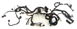 2007 Polaris Fst Iq Touring Engine Wiring Harness JP3 Used. Price: $123.20.
