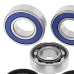 Balls Shaft Bearing And Seal Kit 141-9070 134734 ABR14-1070 New. Price: $73.27.