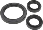 Moose Racing Differential Seal Kit Front 0935-0419 New. Price: $29.99.