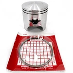 Arctic * Piston Assy W/ Rings 3005-228 1991-1993 Wildcat New. Price: $204.75.