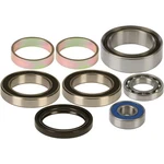 Balls Chain Case Bearing & Seal Kit 14-1014 New. Price: $108.33.