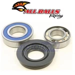 Balls Shaft Bearing And Seal Kit 2000 Ski-doo Formula 700 Drive Zd New. Price: $48.59.