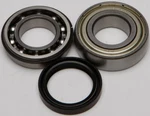 Balls 14-1056 Shaft Bearing And Seal Kit New. Price: $33.33.