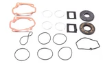 Aftermarket 420992279 Gasket Kit Nos New. Price: $38.24.
