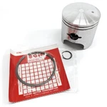 Arctic * Piston Assy W/ Rings 3003-754 1991-1993 Wildcat New. Price: $234.10.