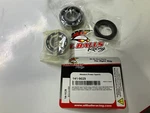Balls Chain Case Bearing And Seal Kits 14-1029 New. Price: $29.99.