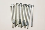 Oem Arctic Cat 0123-602 1/4-20X4-1/4 Cap Screw Qty 14 Nos New. Price: $19.99.